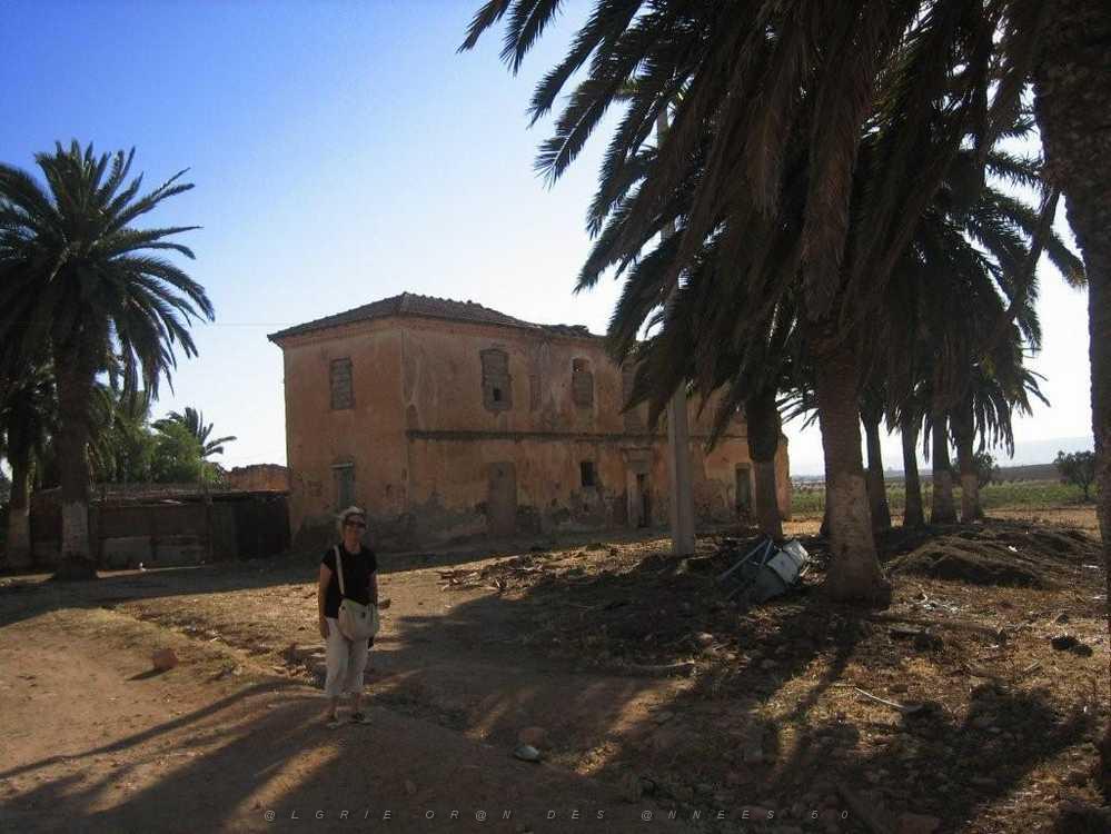 VOYAGE a ORAN du 30-06 au 6-06 2008 (393).jpg